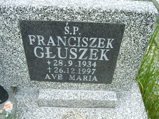 Franciszek Tadeusz Głuszek 1934 Szczawno Zdrój - Grobonet - Wyszukiwarka osób pochowanych