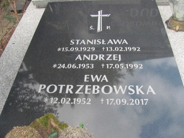 Ewa Potrzebowska 1952 Szczawno Zdrój - Grobonet - Wyszukiwarka osób pochowanych