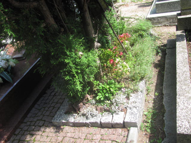  NN Szczawno Zdrój - Grobonet - Wyszukiwarka osób pochowanych