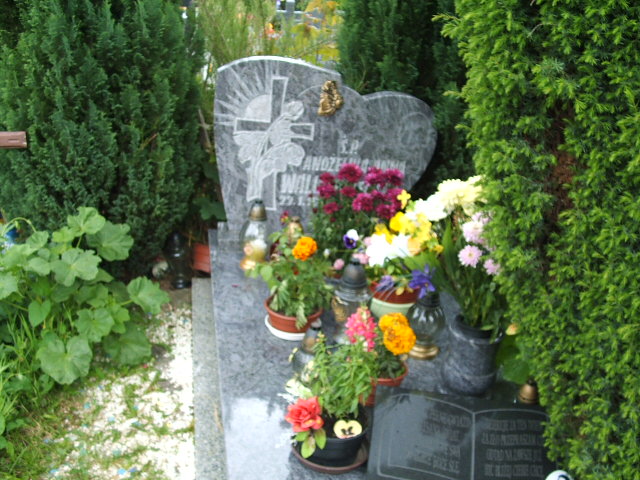 Grób Andżelika Anna Walus Grzelecka