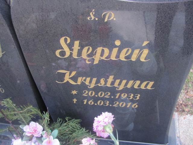 Antoni Bryniarski 1904 Szczawno Zdrój - Grobonet - Wyszukiwarka osób pochowanych