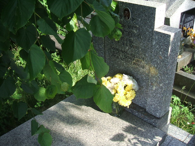 Aleksander Terefenko 1898 Szczawno Zdrój - Grobonet - Wyszukiwarka osób pochowanych