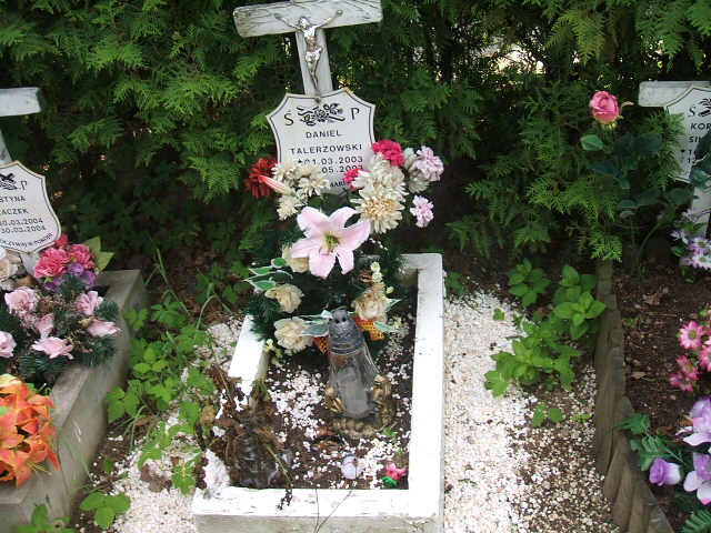 Grób Daniel Talerzowski