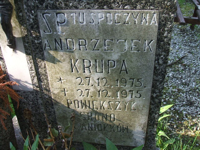 Andrzej Krupa 1975 Szczawno Zdrój - Grobonet - Wyszukiwarka osób pochowanych