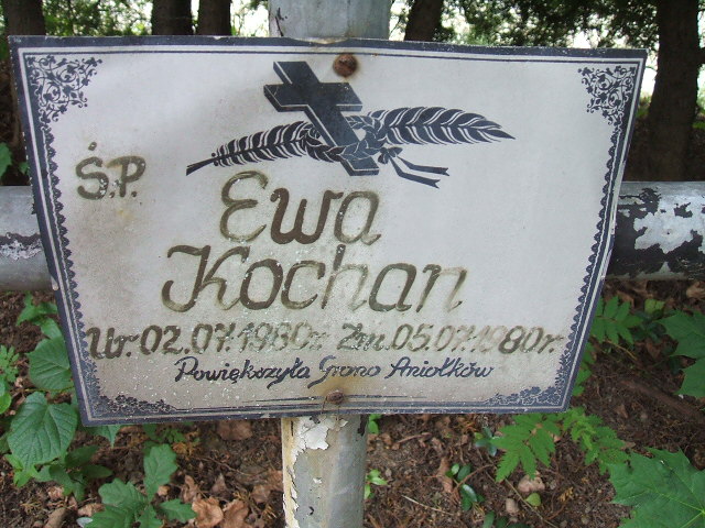 Ewa Kochan 1980 Szczawno Zdrój - Grobonet - Wyszukiwarka osób pochowanych