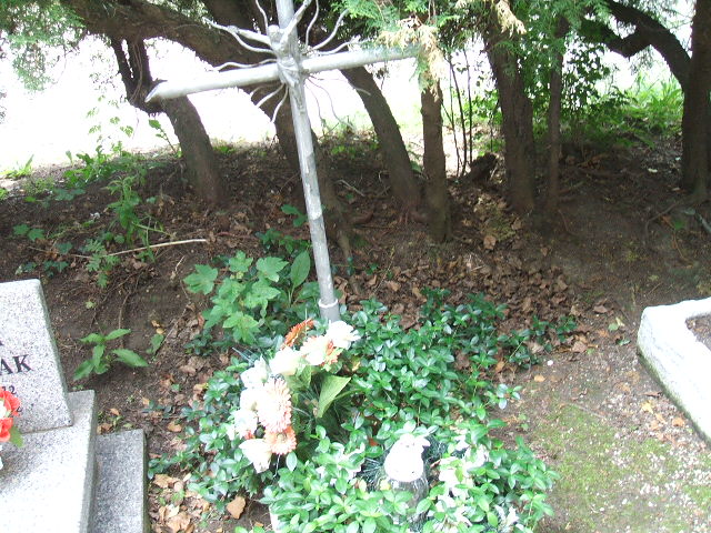  NN Szczawno Zdrój - Grobonet - Wyszukiwarka osób pochowanych