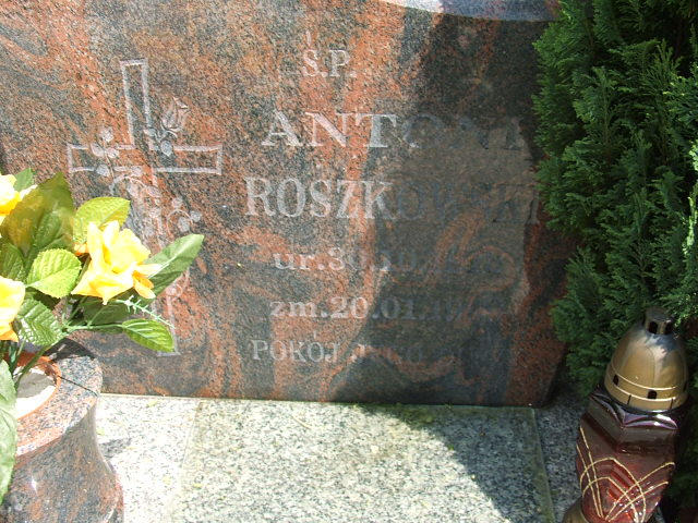 Antoni Roszkowski 1913 Szczawno Zdrój - Grobonet - Wyszukiwarka osób pochowanych