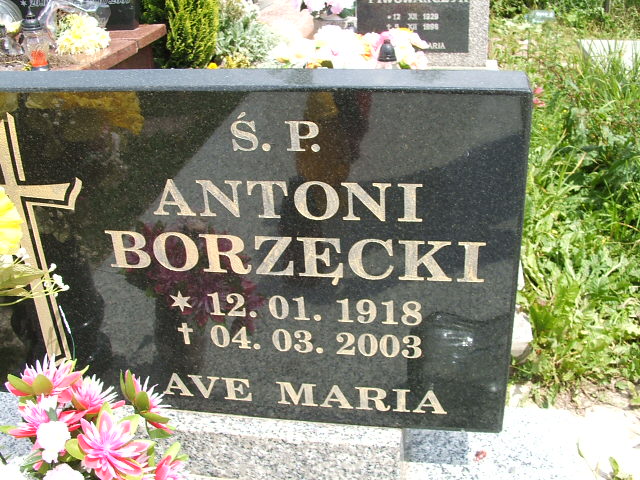Antoni Borzęcki 1918 Szczawno Zdrój - Grobonet - Wyszukiwarka osób pochowanych