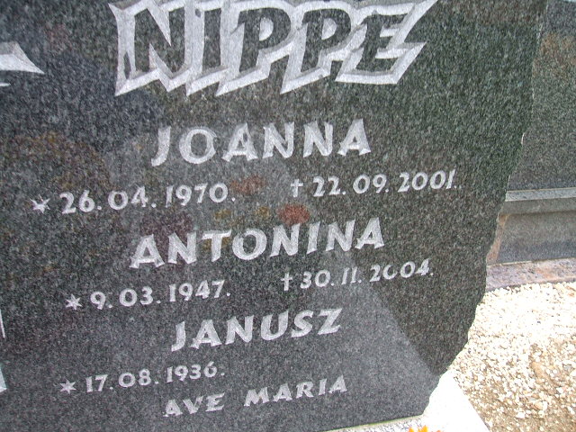 Antonina Nippe 1947 Szczawno Zdrój - Grobonet - Wyszukiwarka osób pochowanych