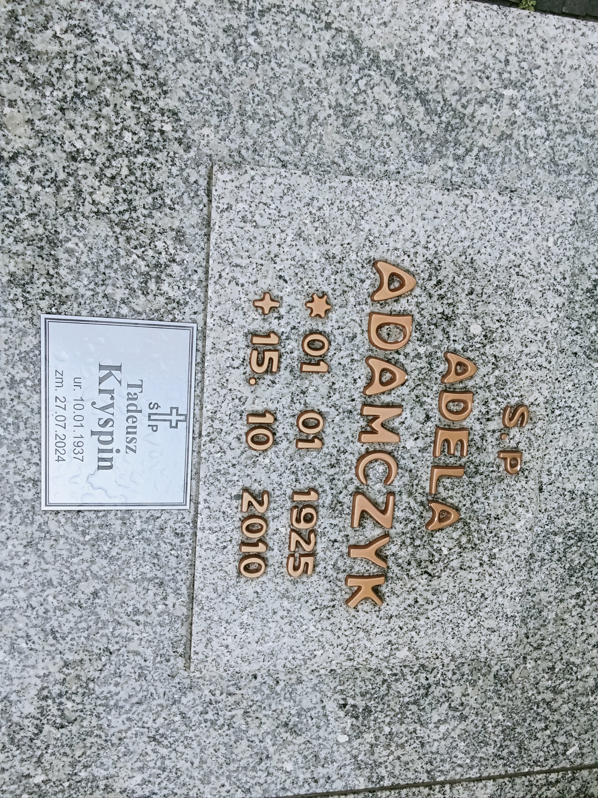 Tadeusz Kryspin 1937 Szczawno Zdrój - Grobonet - Wyszukiwarka osób pochowanych