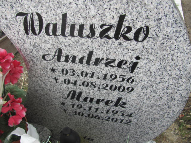 Andrzej Waluszko 1956 Szczawno Zdrój - Grobonet - Wyszukiwarka osób pochowanych