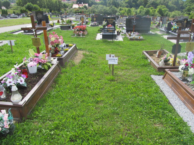  Rezerwacja Szczawno Zdrój - Grobonet - Wyszukiwarka osób pochowanych